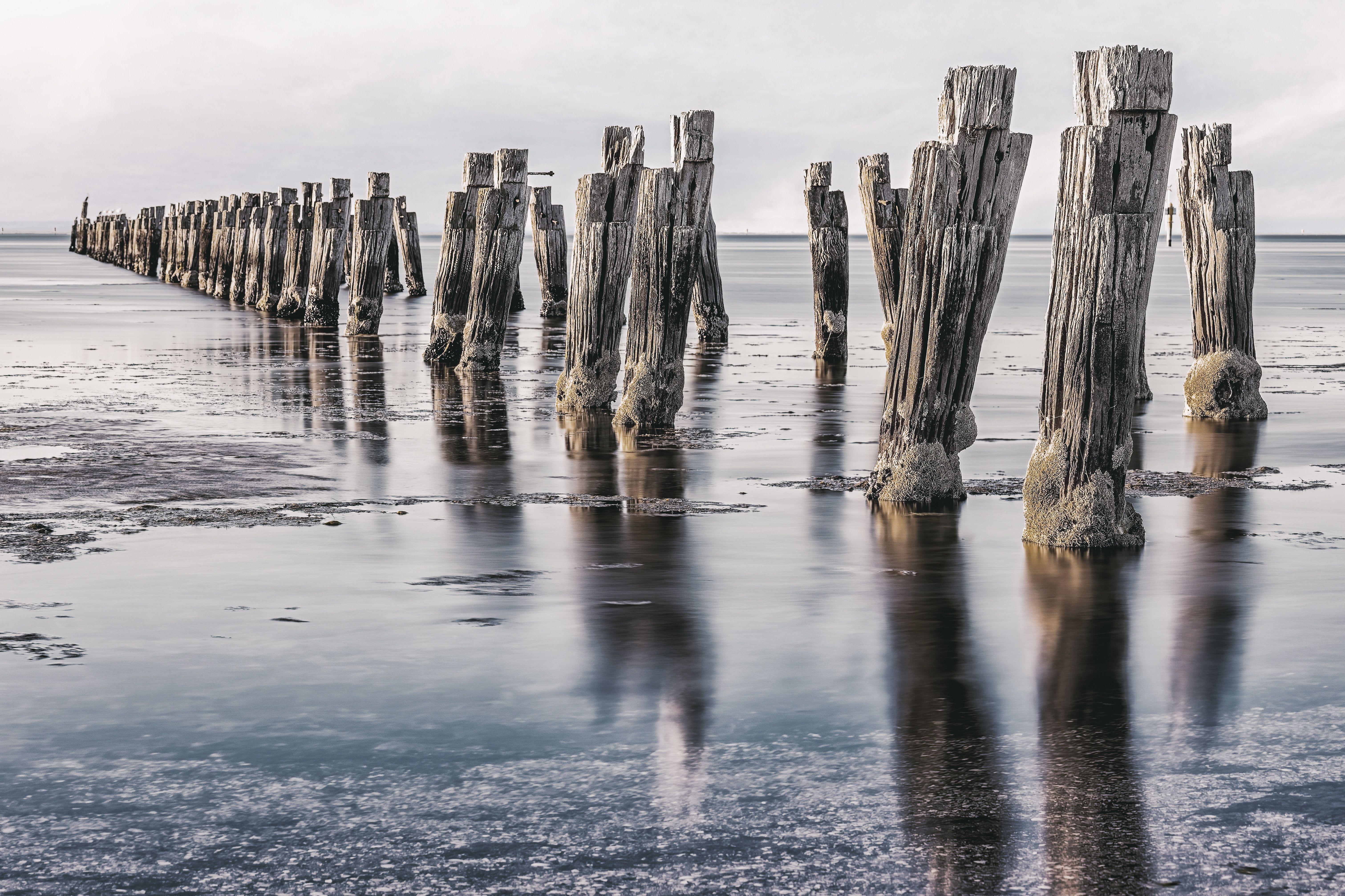 Gallery test